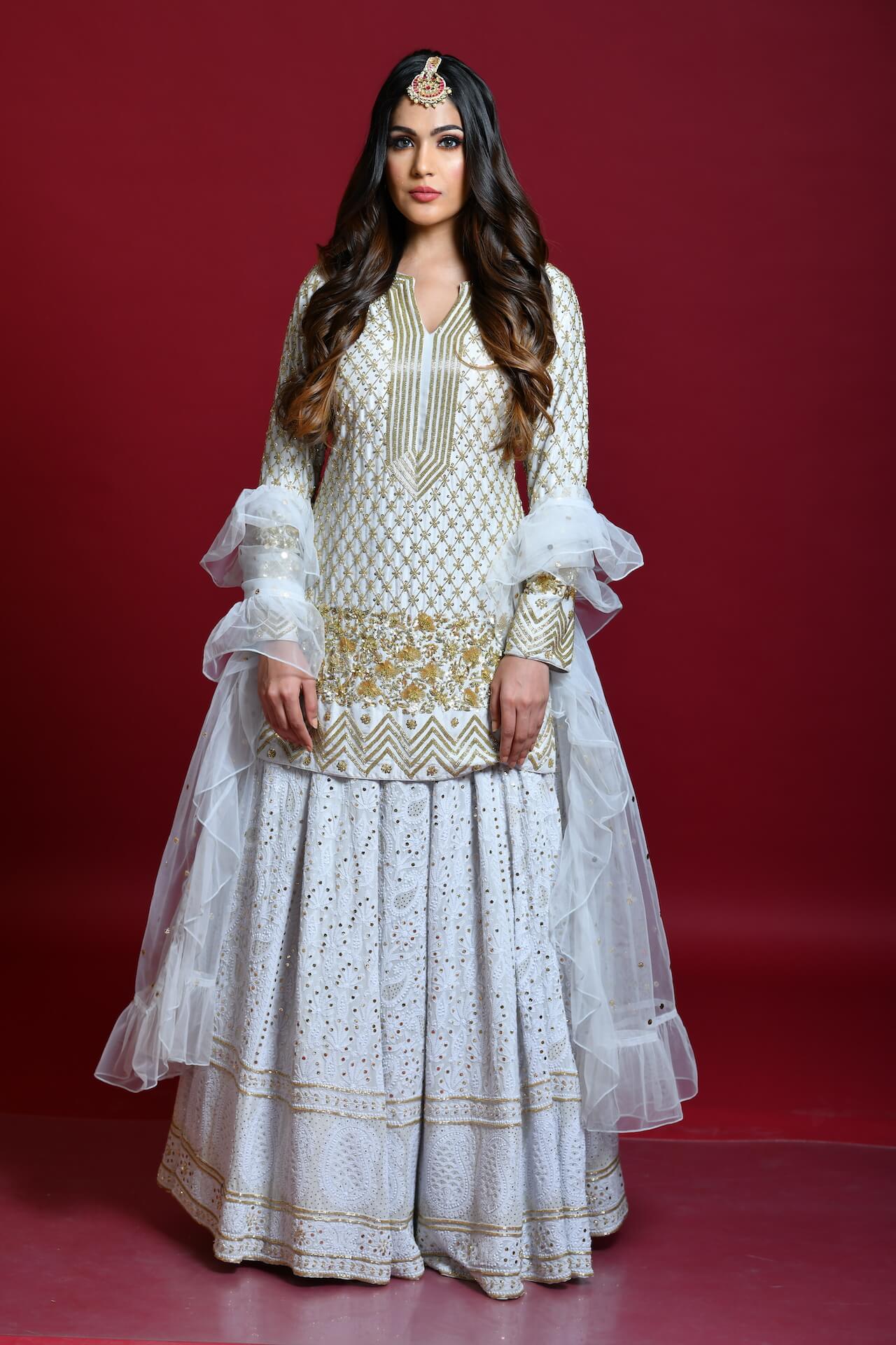 Light Grey Lucknowi Chikankari Embroidered Lehenga Set - kylee