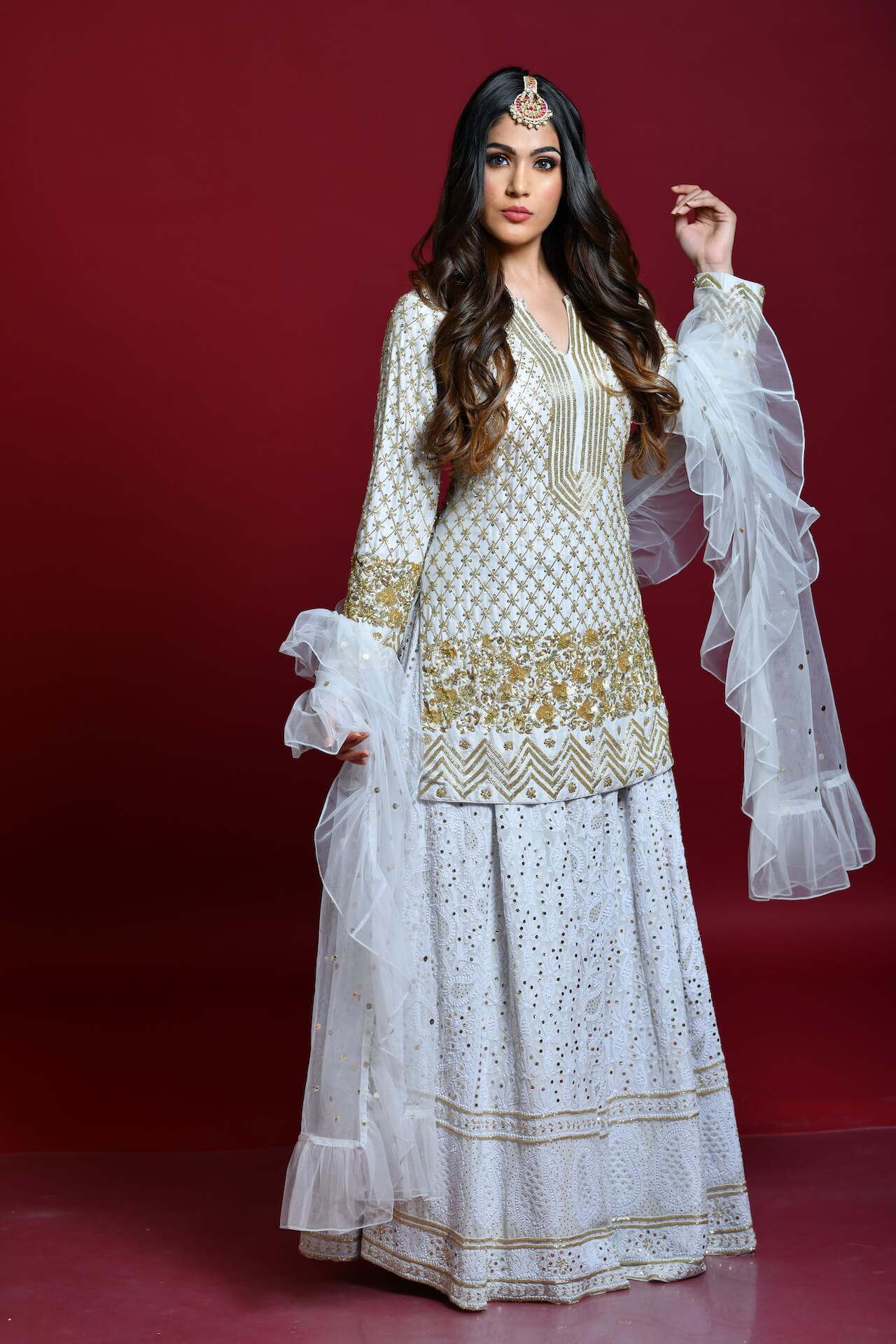Light Grey Lucknowi Chikankari Embroidered Lehenga Set - kylee