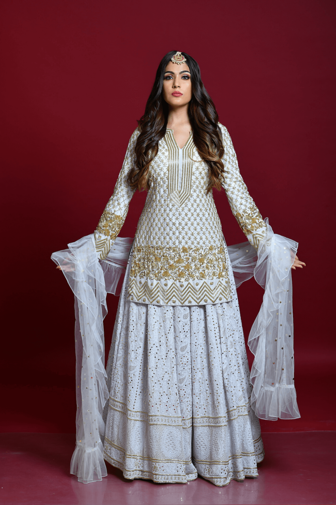 Light Grey Lucknowi Chikankari Embroidered Lehenga Set - kylee