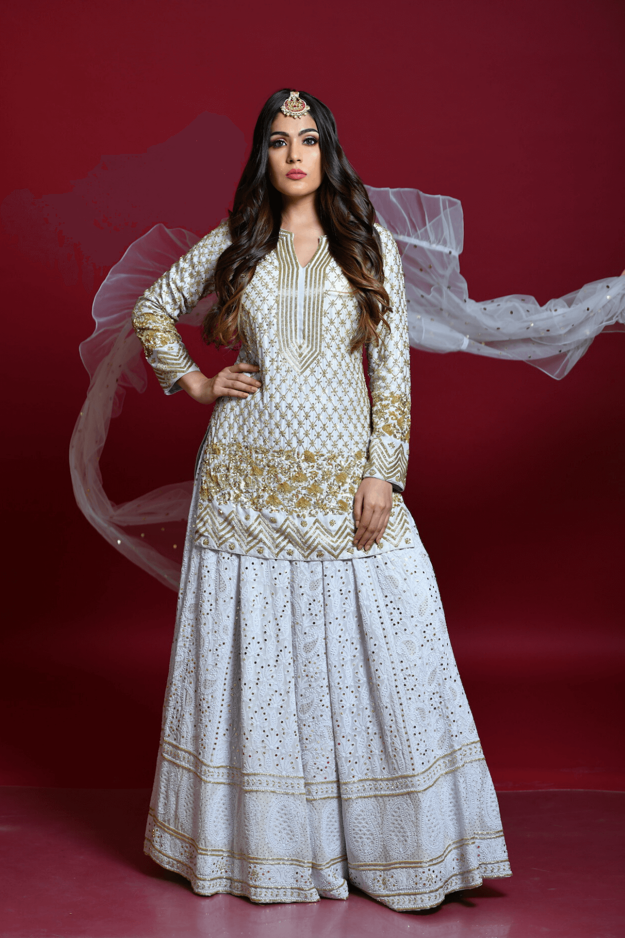 Light Grey Lucknowi Chikankari Embroidered Lehenga Set - kylee
