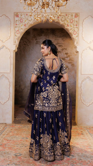 Navy Gul Embroidered Sharara Set