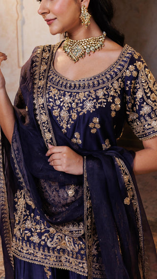 Navy Gul Embroidered Sharara Set