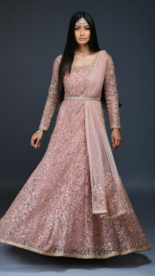Salmon Pink Embroidered Gown