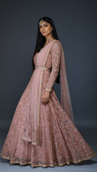 Salmon Pink Embroidered Gown