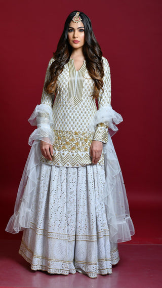 Light Grey Lucknowi Chikankari Embroidered Lehenga Set