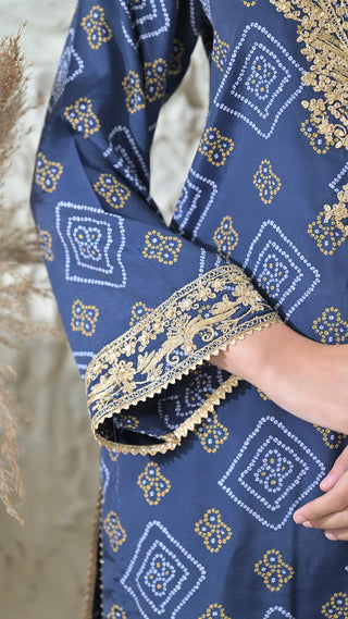 Blue Bandhej Embroidered Co-ord