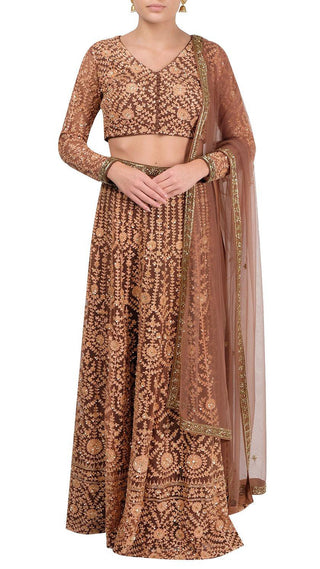 Light Brown Emboidered Lehenga Set
