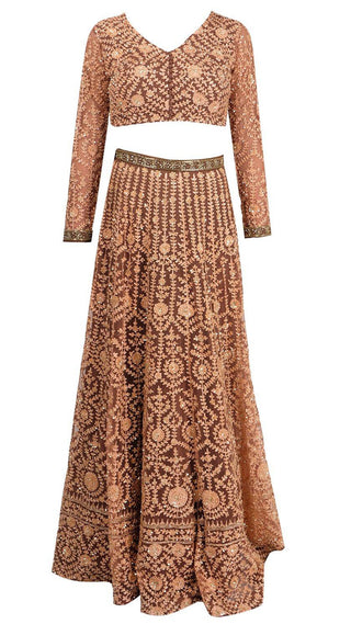 Light Brown Emboidered Lehenga Set
