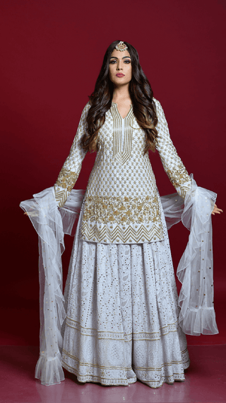 Light Grey Lucknowi Chikankari Embroidered Lehenga Set
